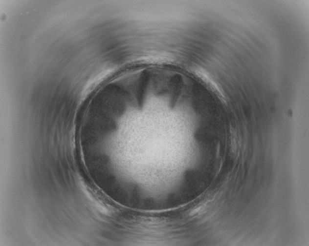 X0000087310486200705041653