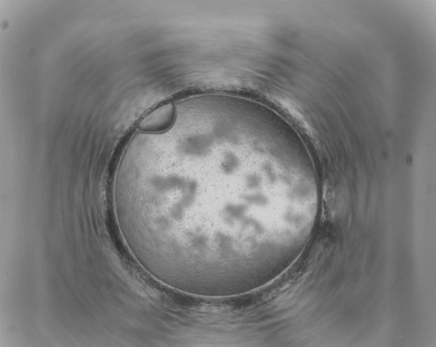 X0000087310487200705041653