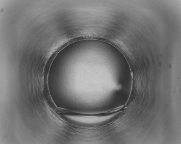 X0000087310488200705041653