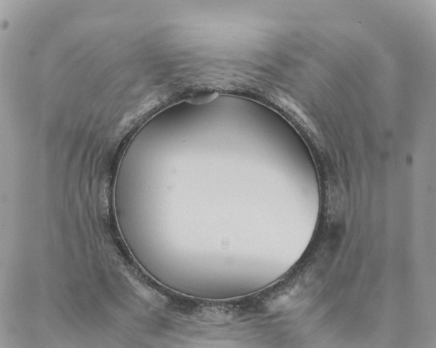 X0000087310489200705041653