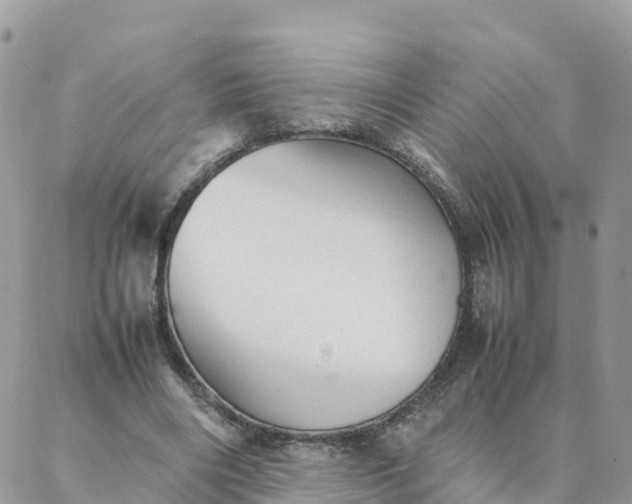 X0000087310490200705041653