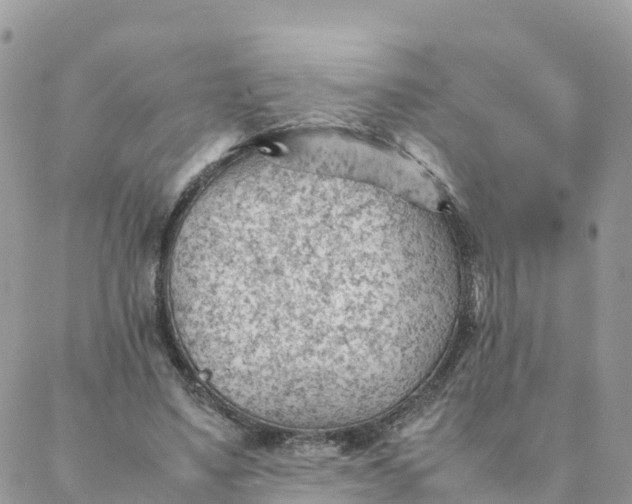 X0000087310491200705041653