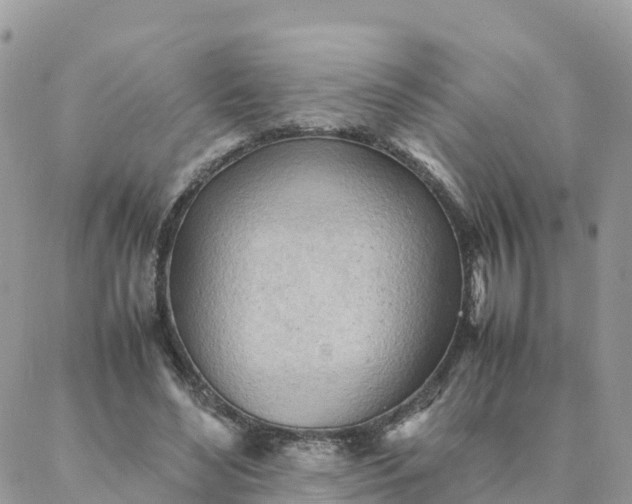 X0000087310492200705041653