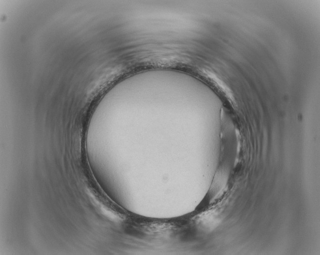 X0000087310493200705041653