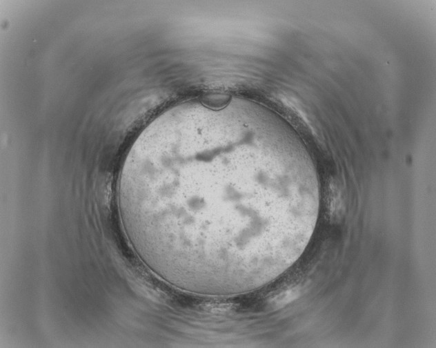 X0000087310495200705041653