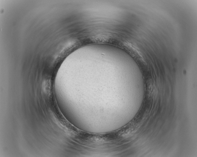 X0000087310498200705041653