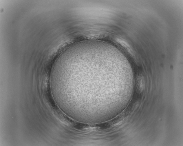 X0000087310499200705041653