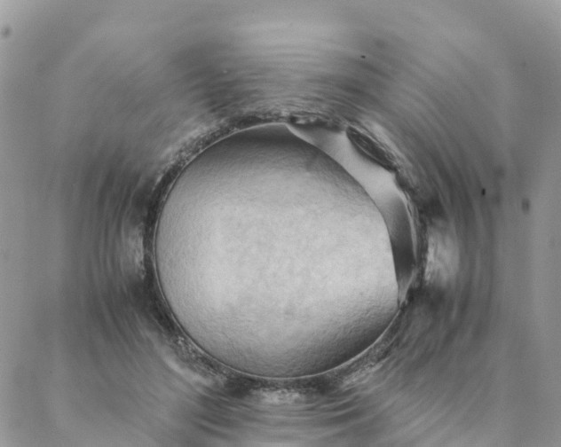 X0000087310500200705041653