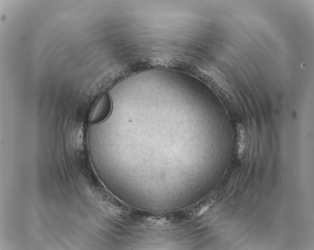 X0000087310502200705041653