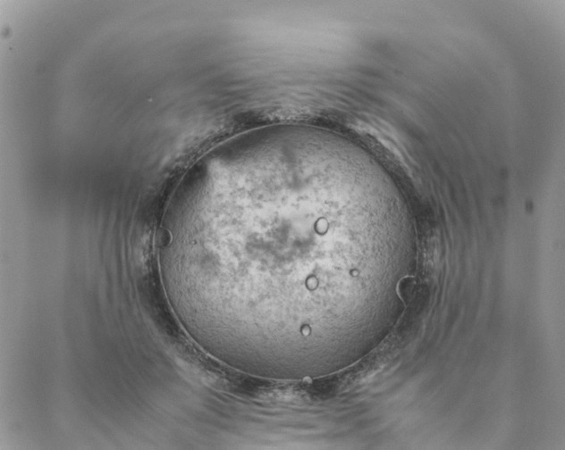 X0000087310503200705041653