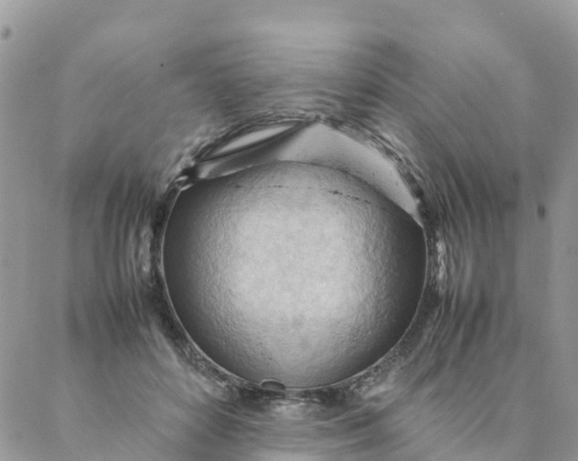 X0000087310504200705041653