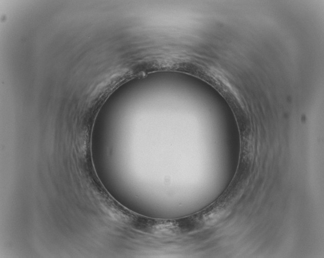 X0000087310505200705041653