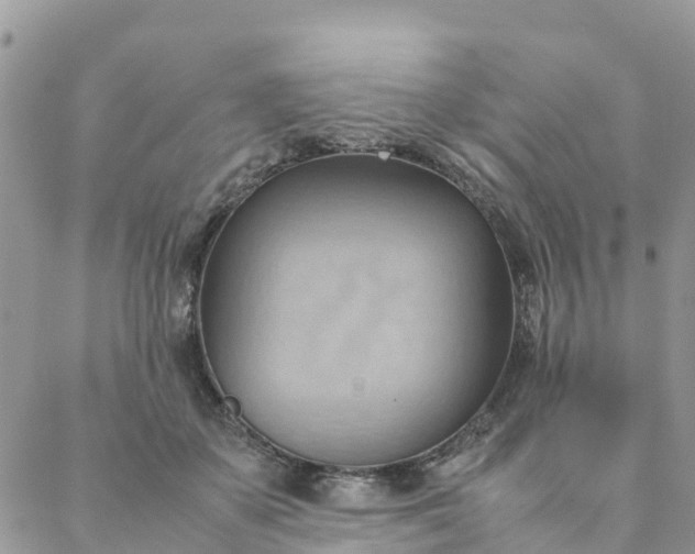 X0000087310507200705041653