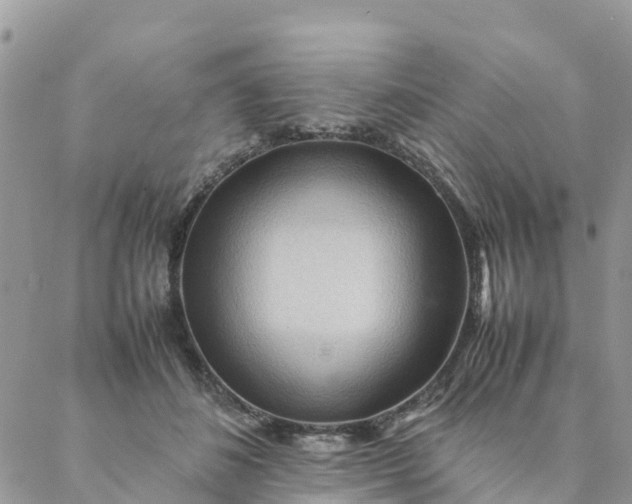 X0000087310508200705041653