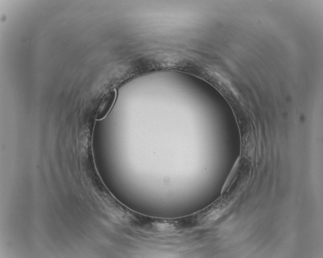 X0000087310509200705041653