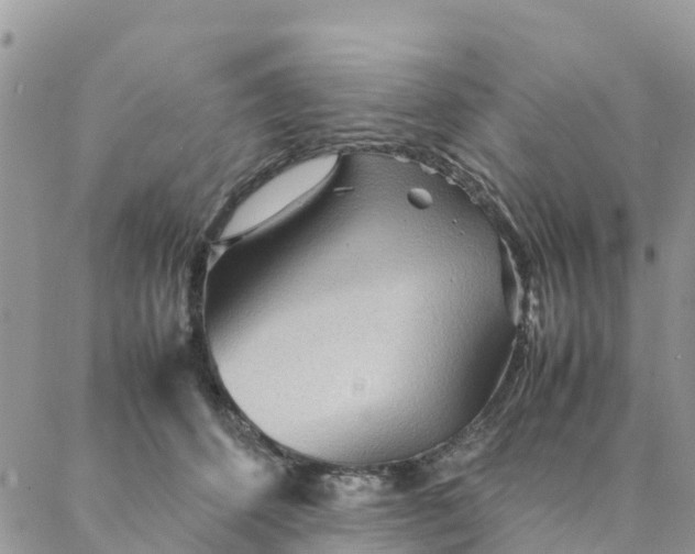 X0000087310512200705041653