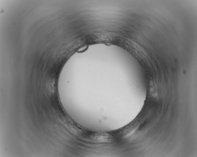 X0000087310514200705041653