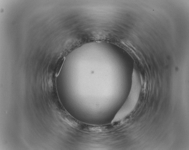 X0000087310516200705041652