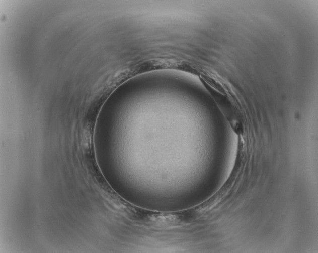 X0000087310517200705041652