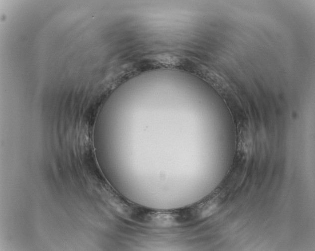 X0000087310518200705041652