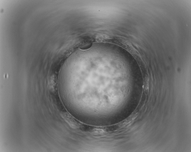 X0000087310519200705041652