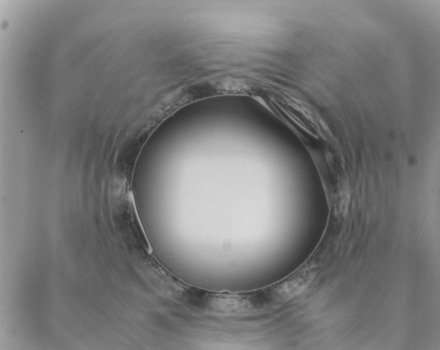 X0000087310521200705041652