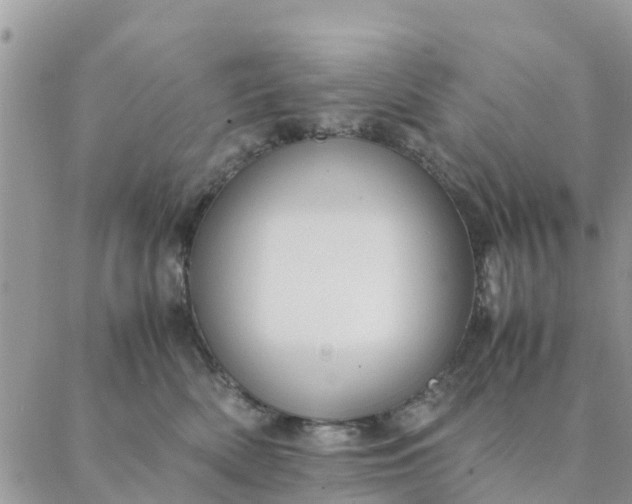 X0000087310522200705041652