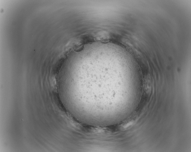 X0000087310523200705041652