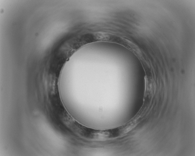 X0000087310525200705041652