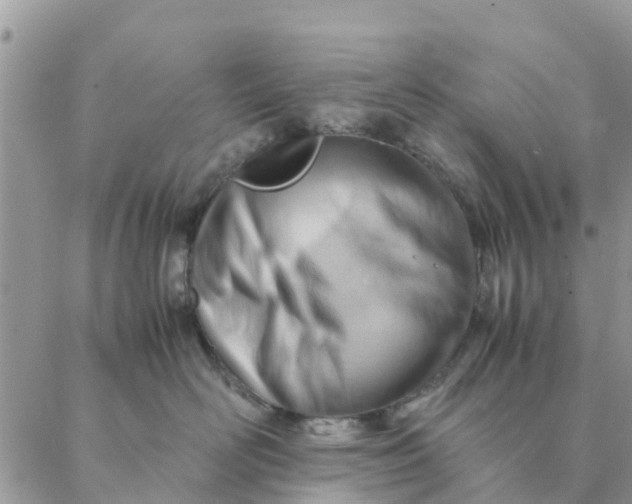 X0000087310526200705041652