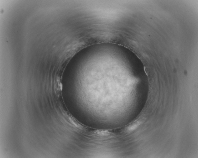 X0000087310528200705041652