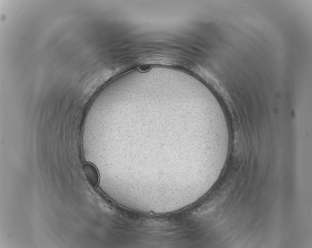 X0000087310529200705041652