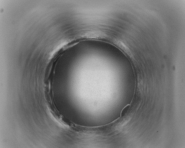 X0000087310530200705041652