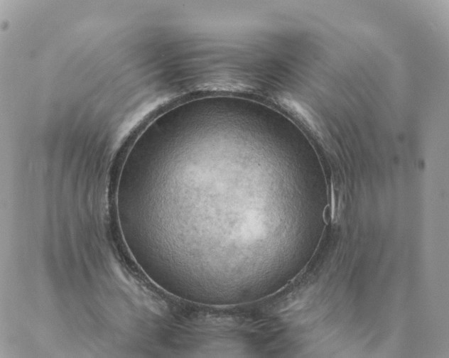 X0000087310531200705041652