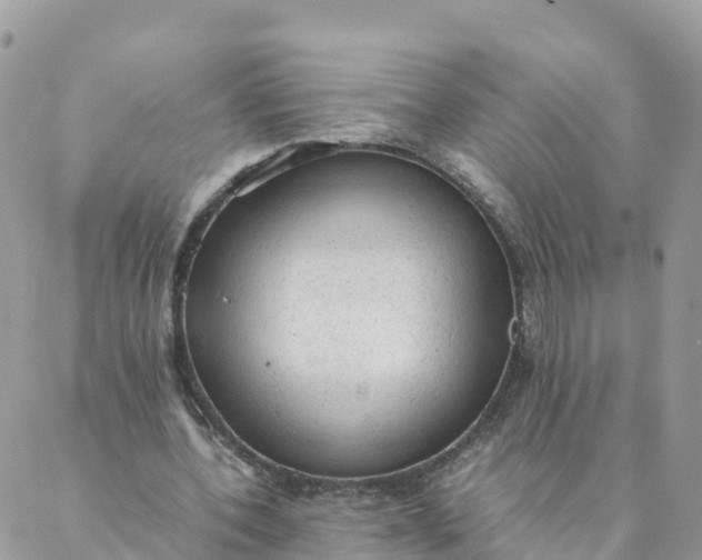 X0000087310532200705041652