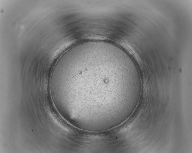 X0000087310533200705041652