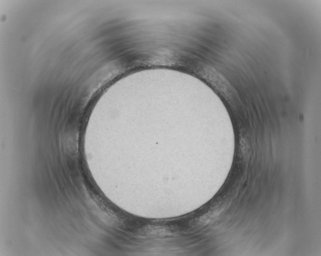 X0000087310534200705041652