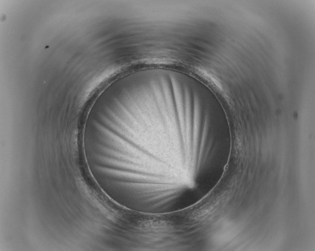 X0000087310535200705041652