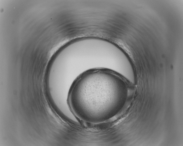 X0000087310536200705041652