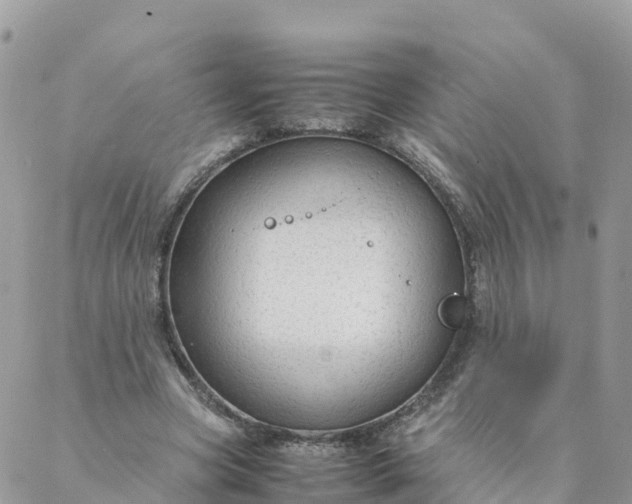 X0000087310537200705041652