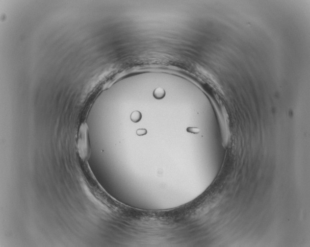 X0000087310538200705041652