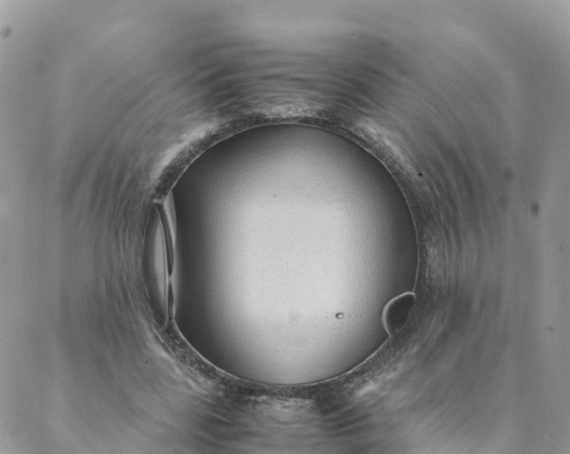 X0000087310539200705041652