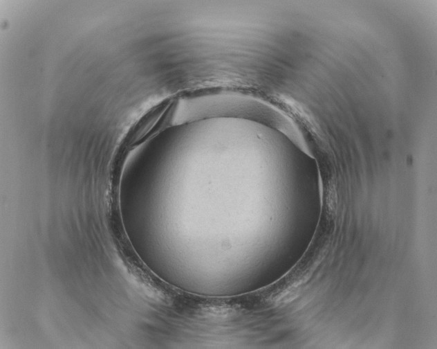 X0000087310540200705041652