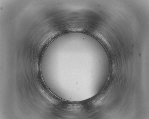 X0000087310541200705041652