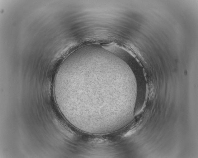 X0000087310542200705041652