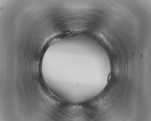 X0000087310543200705041652