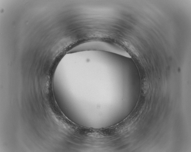 X0000087310544200705041652