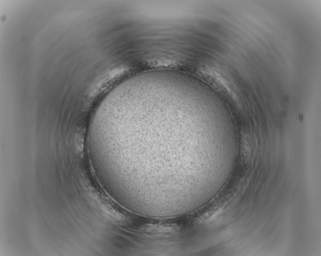 X0000087310545200705041652