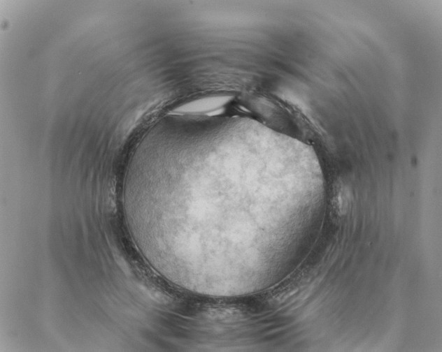 X0000087310547200705041652