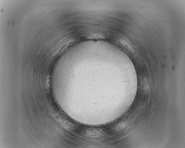 X0000087310549200705041652